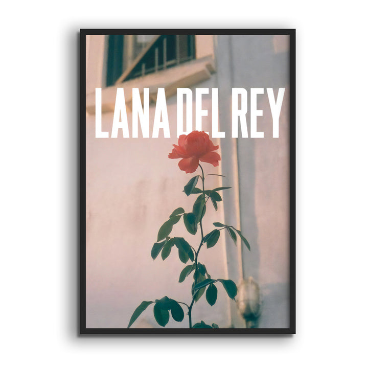 Lana Del Rey "Roses"